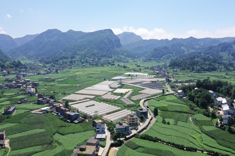 4、吼灘蔬菜基地的航拍。刁苓沙 攝.jpg