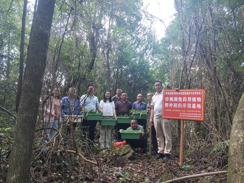 珍稀瀕危藥用植物野外回歸示范基地“落戶”獨(dú)山縣上司鎮(zhèn)學(xué)莊村。
