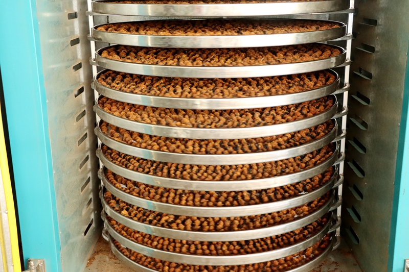 當刺梨遇上紅茶 貴州獨山解鎖特色產業多元新圖景。