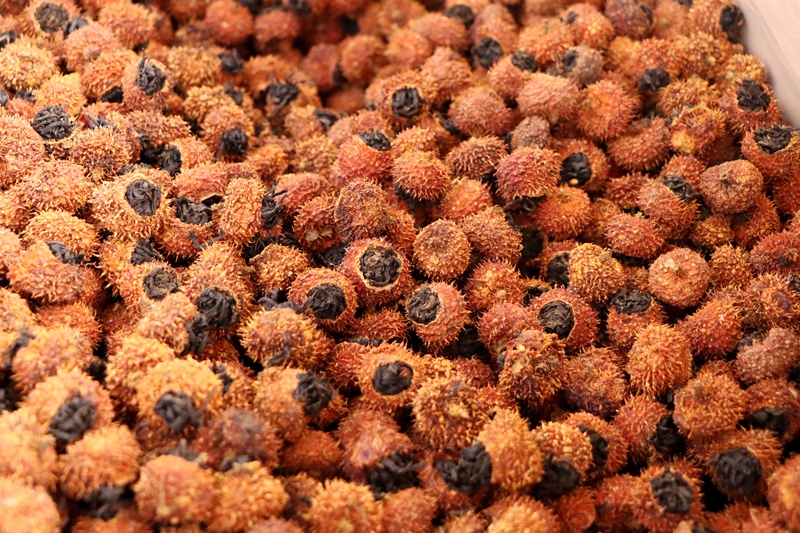 當刺梨遇上紅茶 貴州獨山解鎖特色產業多元新圖景。