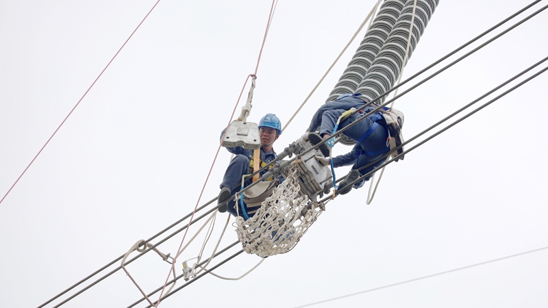 1、輸電運(yùn)維專業(yè)競賽現(xiàn)場一角。