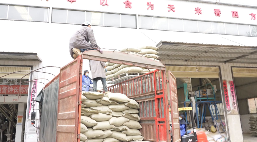 西秀區黃臘鄉稻谷加工豐收忙。