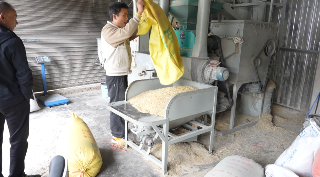 西秀區黃臘鄉稻谷加工豐收忙。