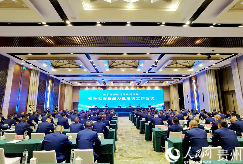 會(huì)議現(xiàn)場。人民網(wǎng)記者 王秀芳攝