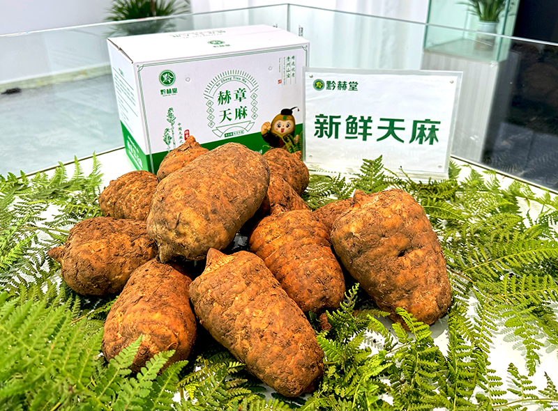 赫章天麻展品。張佳佳攝