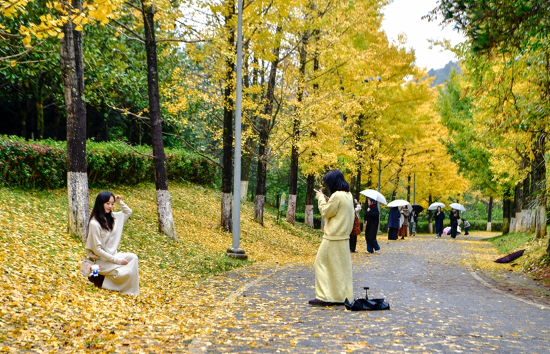 4、 市民紛紛拍照打卡， 留住美景。張婷攝.jpg