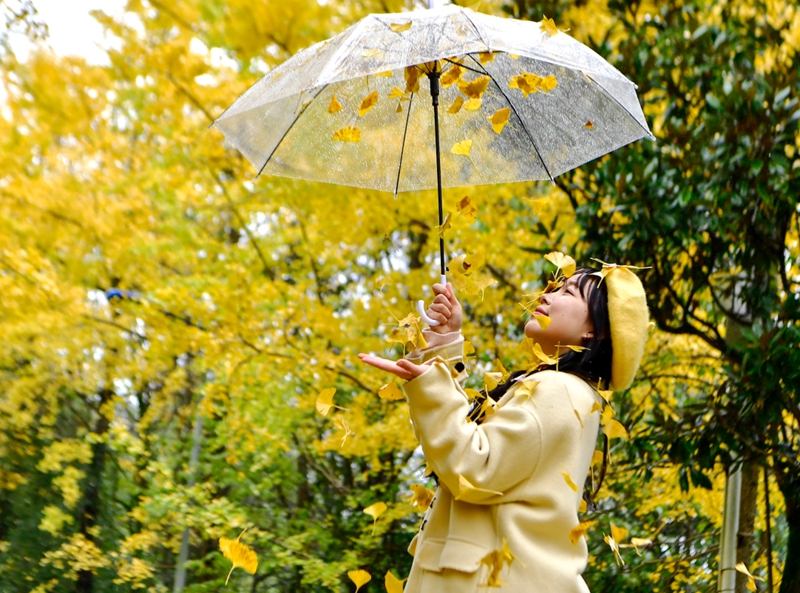 7、 市民拍照記錄秋日美景。張婷攝.jpg