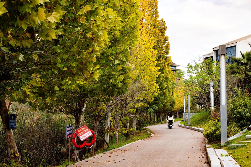 羅甸初冬一景。