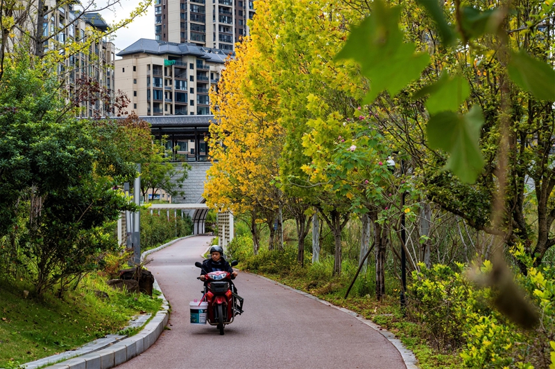 羅甸初冬一景。