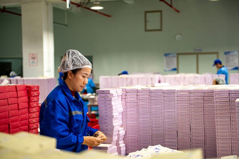11月11日，在貴州省從江縣美娥工業園區的一家藥企，工人在生產車間趕制訂單。