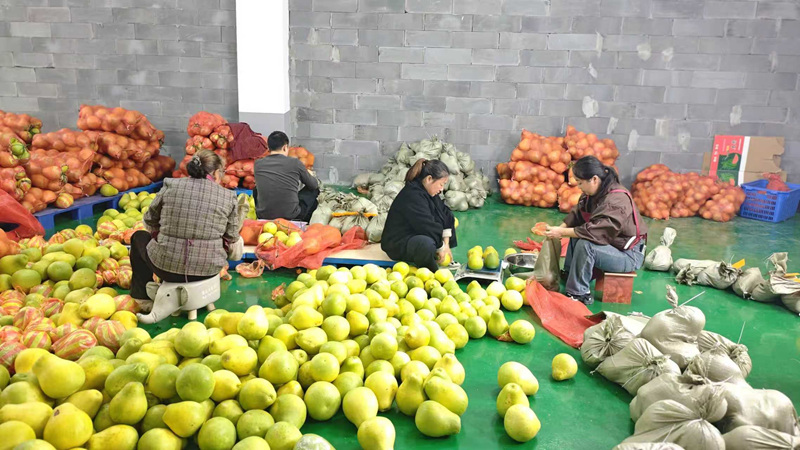 雙十一直播忙 特色農產品銷往全國。
