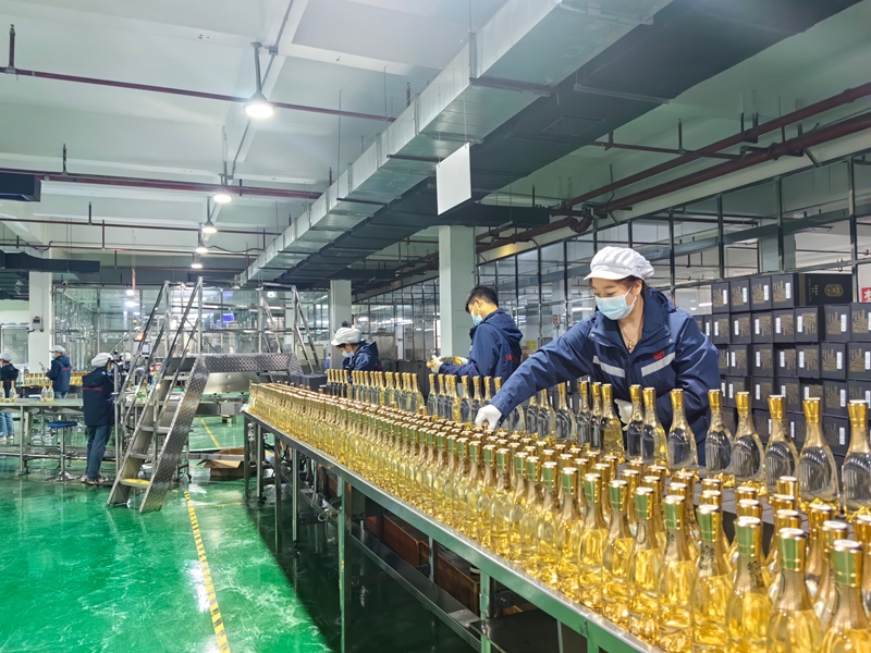 正在包裝醬酒。