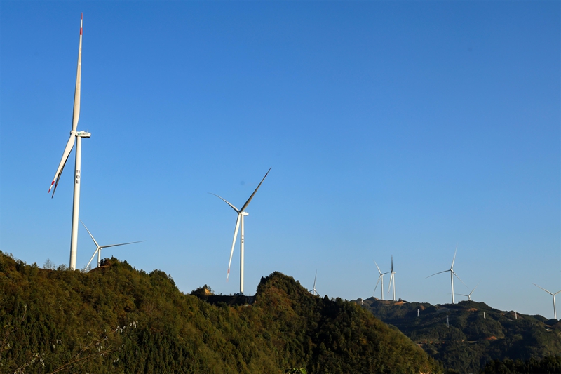 大亭風力發電一景。