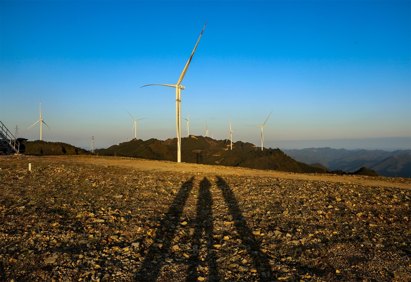 大亭風力發電一景。