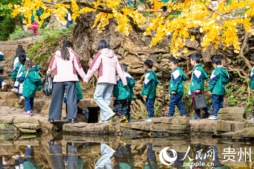 世界古銀杏之鄉迎來游學熱。人民網 陽茜攝