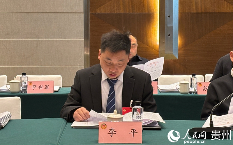貴州省政協委員李平參加2026貴州省兩會。人民網記者 高華攝.jpg