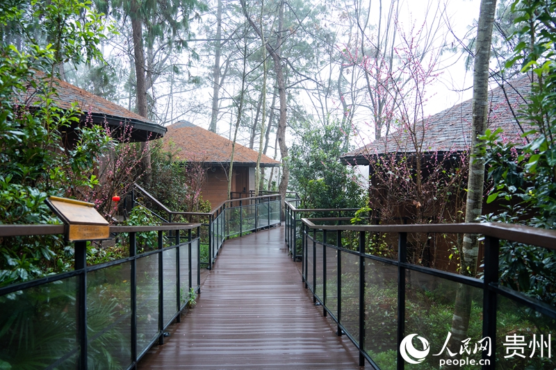 云屯生態體育公園。人民網 陽茜攝 .jpg