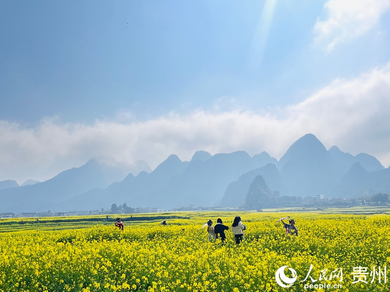 游客游覽萬峰林，打卡“早花”景色。人民網記者 陳潔泉攝.jpg