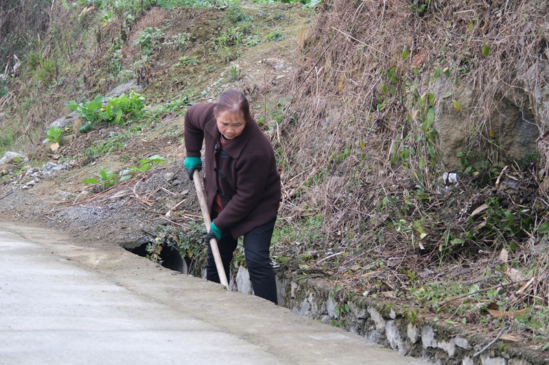 4 圖為清理路邊。伍會芳 攝.jpg