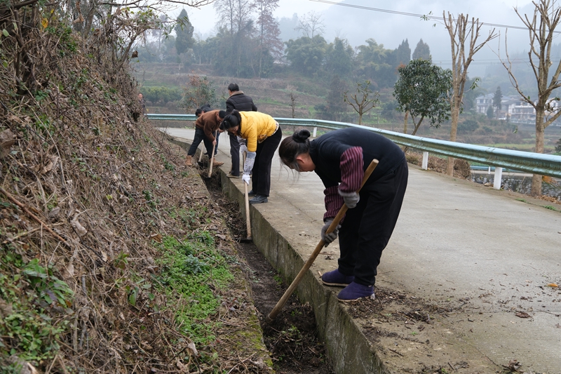 5 圖為清理雜草 伍會芳 攝.jpg