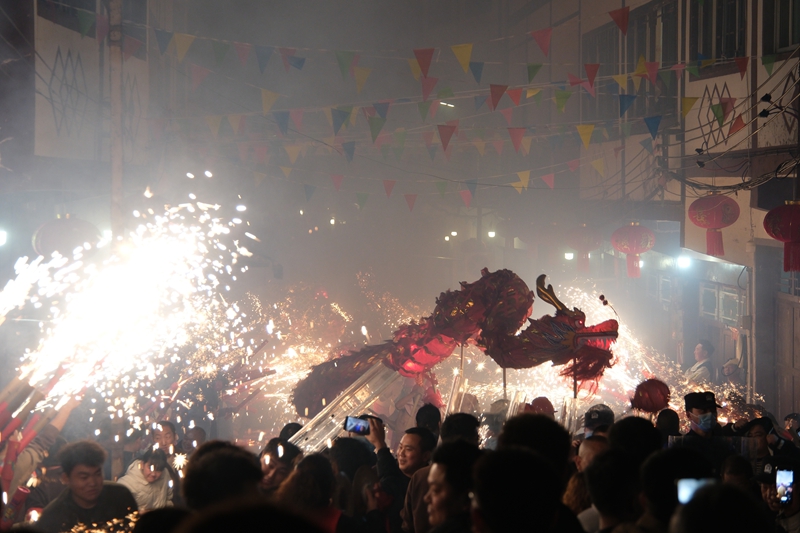 龍騰。 伍會芳 攝.JPG