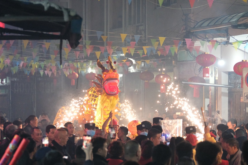舞龍。 伍會芳 攝.JPG